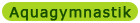 Aquagymnastik, Aquaaerobic Aquagymnastik, Aquatraining